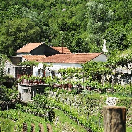 Country House Dajkovic Dupilo Экстерьер фото