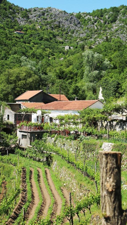 Country House Dajkovic Dupilo Экстерьер фото